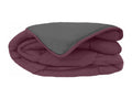 Couette hiver 260x240 cm Boisona Prune/Gris garnissage fibre polyester 400 g/m2 LXTB30716